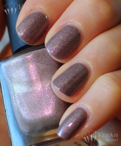 iletaitunvernis_somethingtoremember_shade