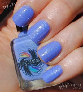 indigobananas_electricunicorns2