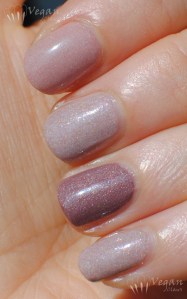 rubywhitetipskim_blackdahlianewdawn_mayavintage2