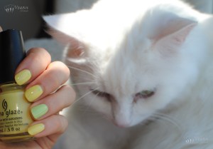 chinaglaze_sunuponmyskin_bemorepacific_thor