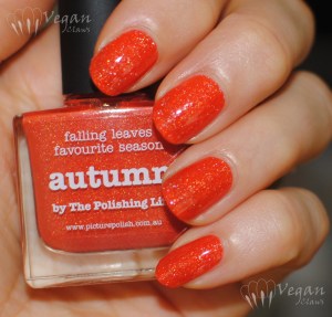 picturepolish_autumn_flash
