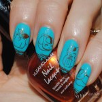 prettyserious_pookie_kleancolor_metallicorange_hehe023_2