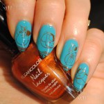 prettyserious_pookie_kleancolor_metallicorange_hehe023_halogen