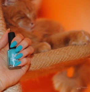 prettyserious_pookie_possum_flash