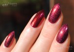 picturepolish_nemesis_revenge2