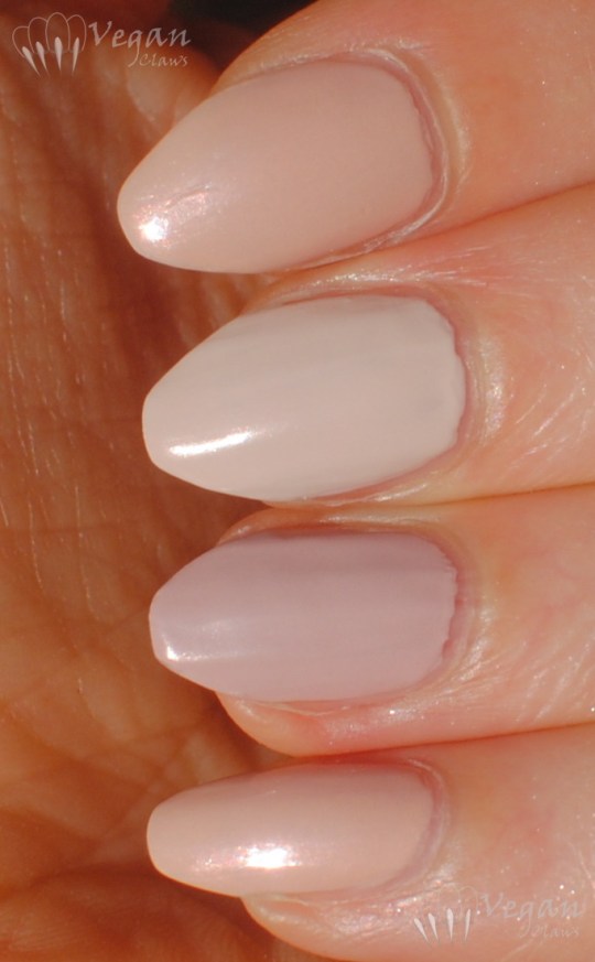 zoyanevaeh_ana_brittany_compsun