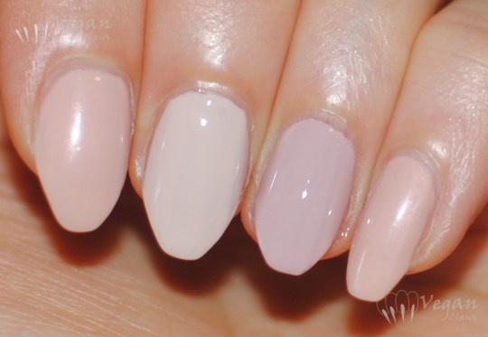 zoyanevaeh_ana_brittany_tc_compflash